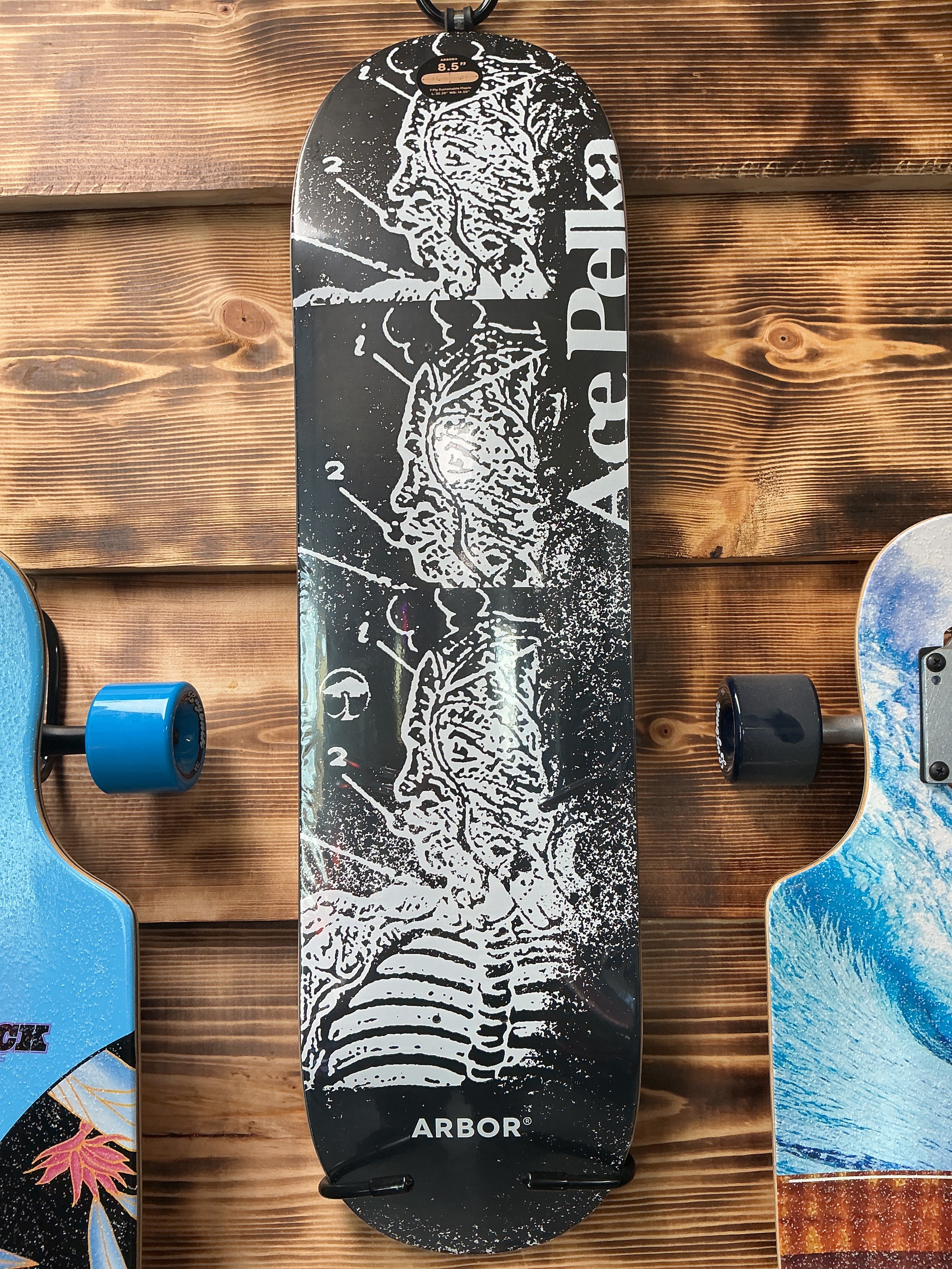 Arbor Pro Ace Pelka Anatomy Deck 8.5”